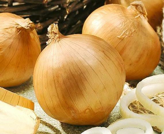 YELOW SWEET SPANISH ONION SEEDS NON-GMO many uses fantastic flavor HEIRLOOM SEED