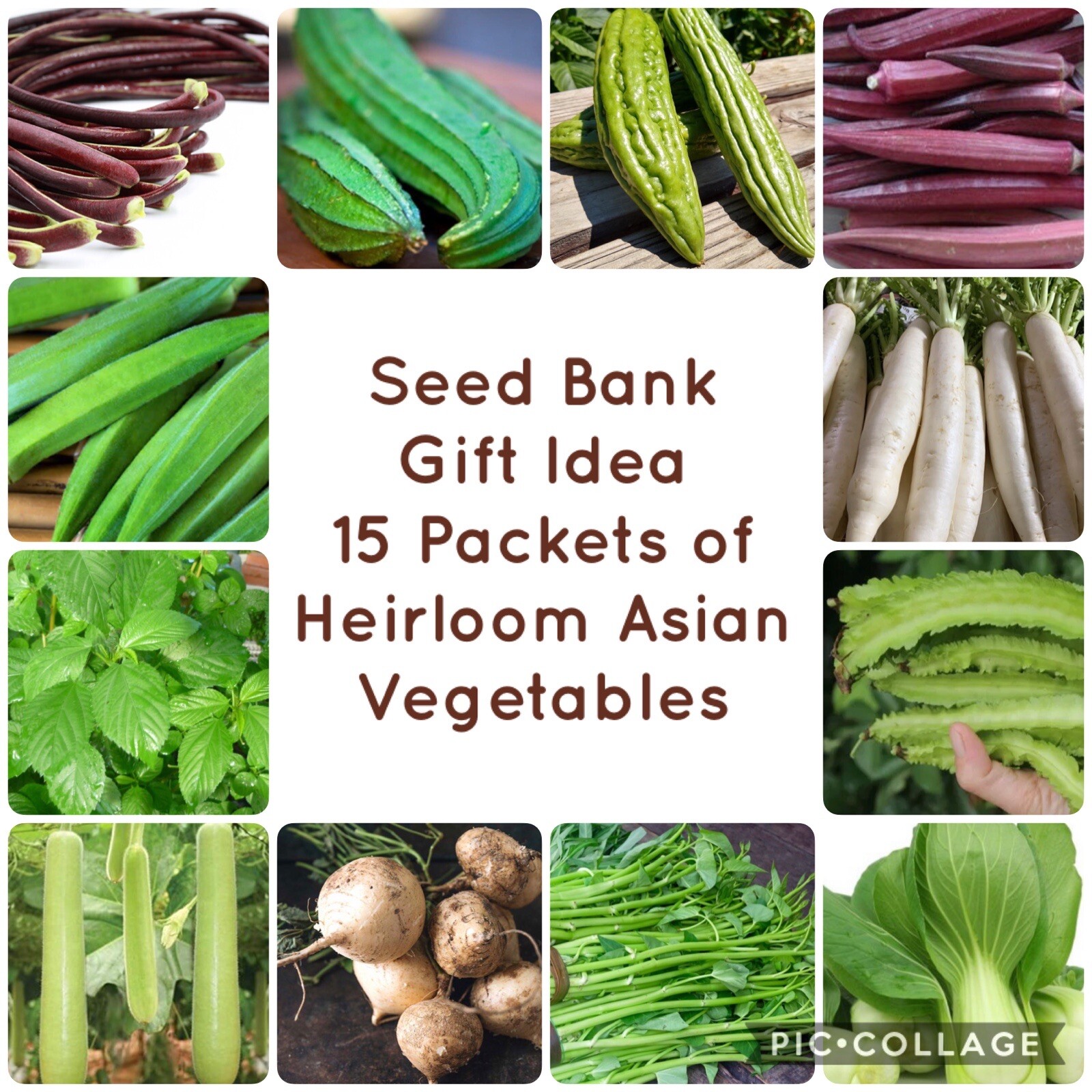 15 Variety of Asian Vegetable SEEDS | Seed Bank Kit | Instruction Included