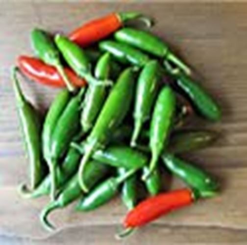 Tam Serrano Hidalgo Hot Peppers Seeds (((25 Seed Packet))) (More Heirloom, Organ