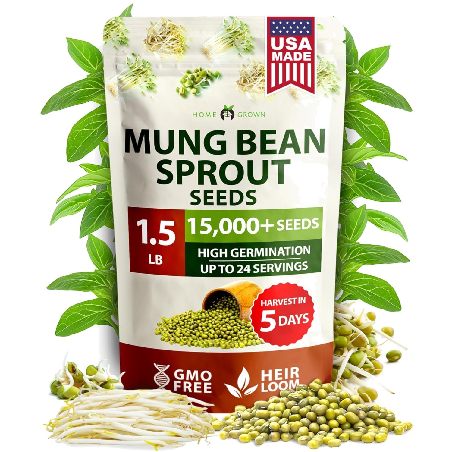 HOME GROWN Mung Beans Seeds Pack 1.5 lb Over 15,000 Sprouting Seeds Grow Fresh M