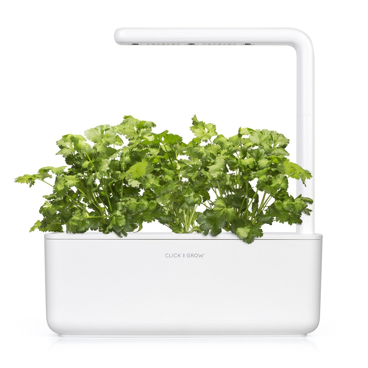 Smart Garden Cilantro/Coriander Plant Pods, 3-Pack