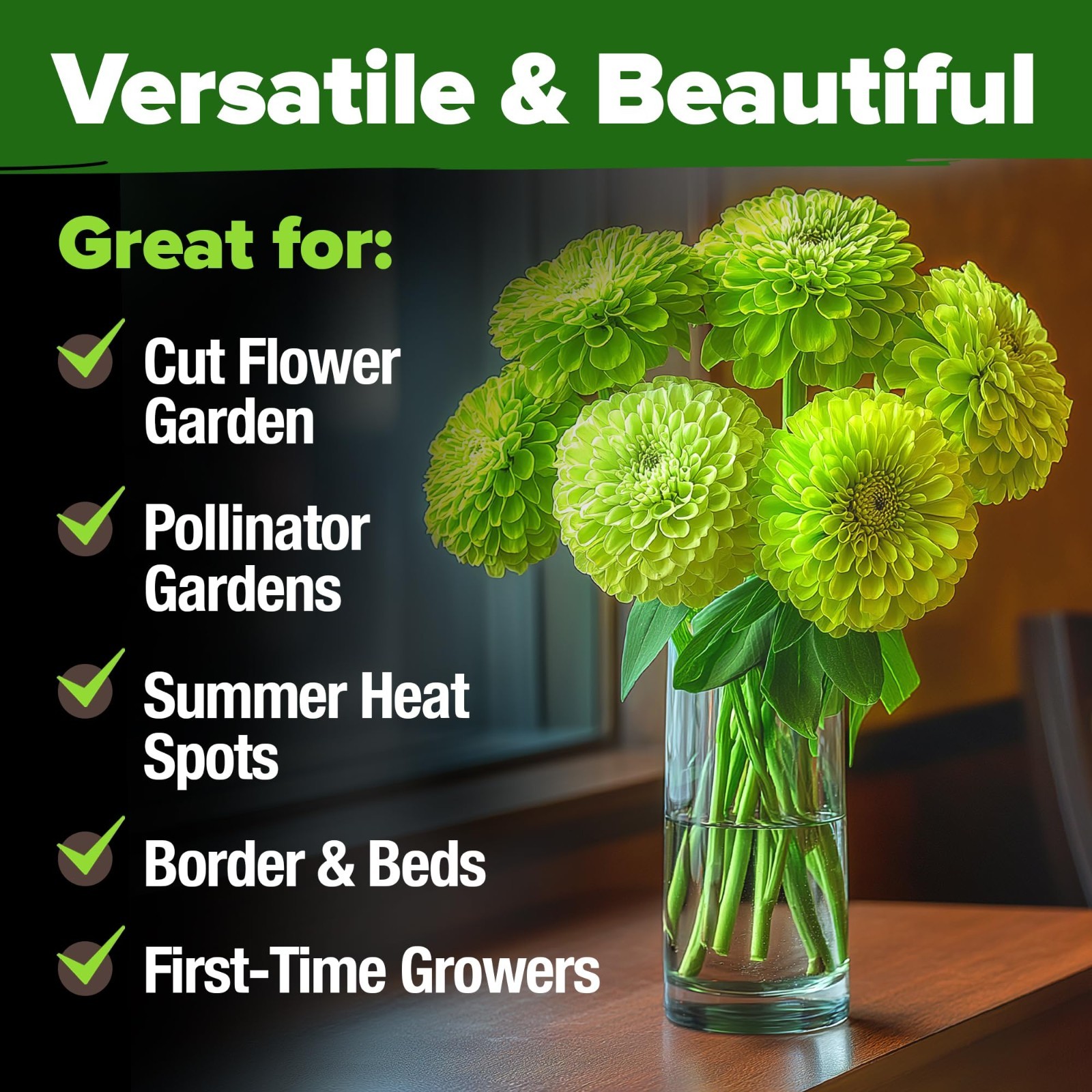 8,500 Lime Green Zinnia Seeds – Fast-Growing Annual Flower Seeds for 2026 Garden