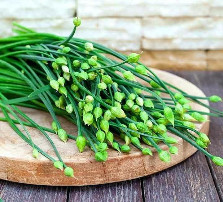 125 Seeds, CHINESE FLOWERING GARLIC LEEK CHIVES E113.5 Herb Perennial Vigorous