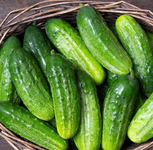 National Pickling Cucumber Seeds – Heirloom