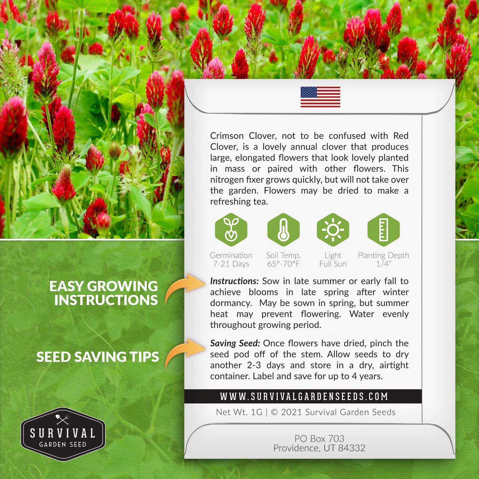 Crimson Clover Seeds Heirloom NonGMO Cover Crop for Soil & Pollinators 2