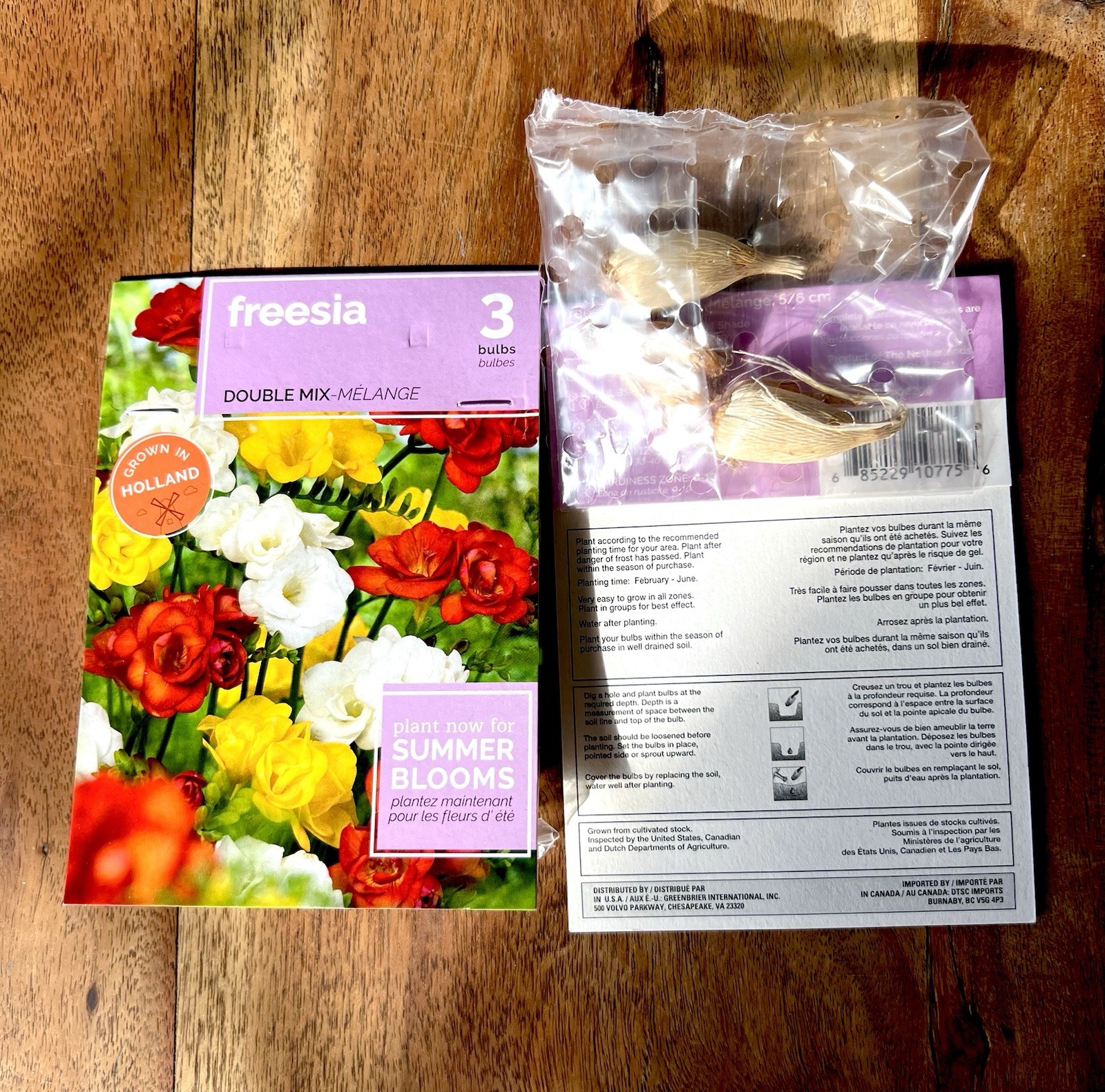 FLOWER SEED PACKS Mixed Lot HOLLAND Vibrant COLOR Varieties 24 Packages BULBS