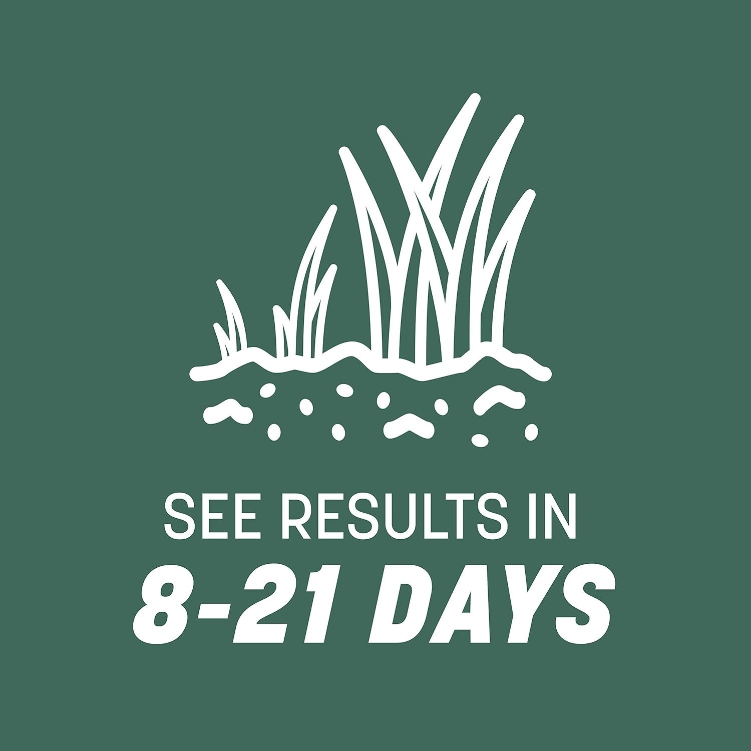 3 lb Kentucky 31 Tall Fescue Grass Seed – Fast Germination, Drought-Resistant