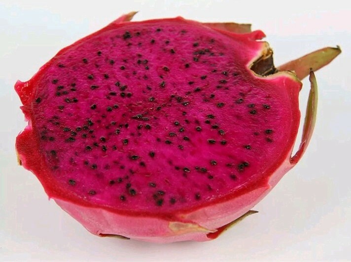 20 seeds Dragon fruit pitaya seeds mix 4 kinds 5 yellow,5 red,5 white,5 purple