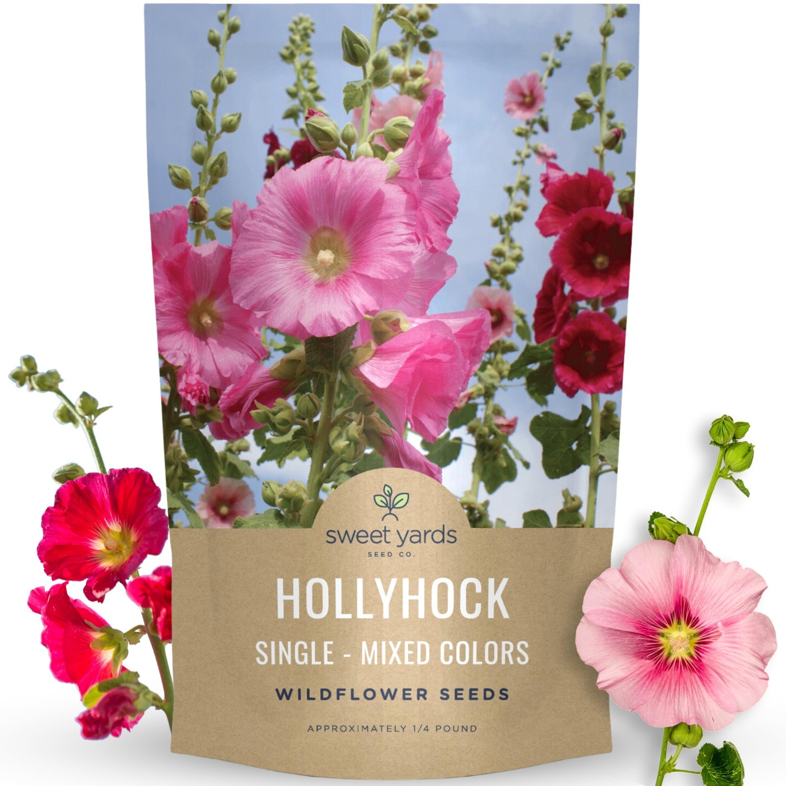 Mixed Color Hollyhock Seeds – 10,000 Bulk Flower Seeds for Planting – 1/4 lb Pou