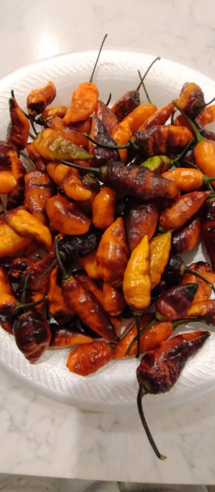 Black Panther (20 Seeds) Super Hot, Black Orange Color, Free Shipping
