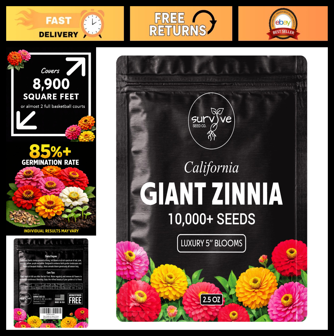 10,000 Non-GMO Zinnia Seeds – California Giants Wildflower Seeds for Planting, B