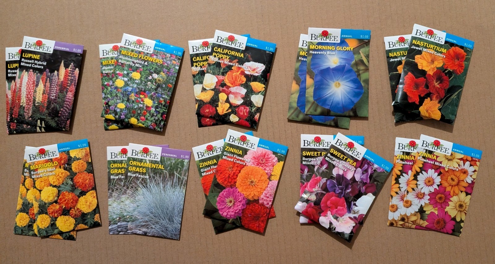 Lot of 20 packets FLOWER SEEDS Zinnia MORNING GLORY (10 different kinds) 2025
