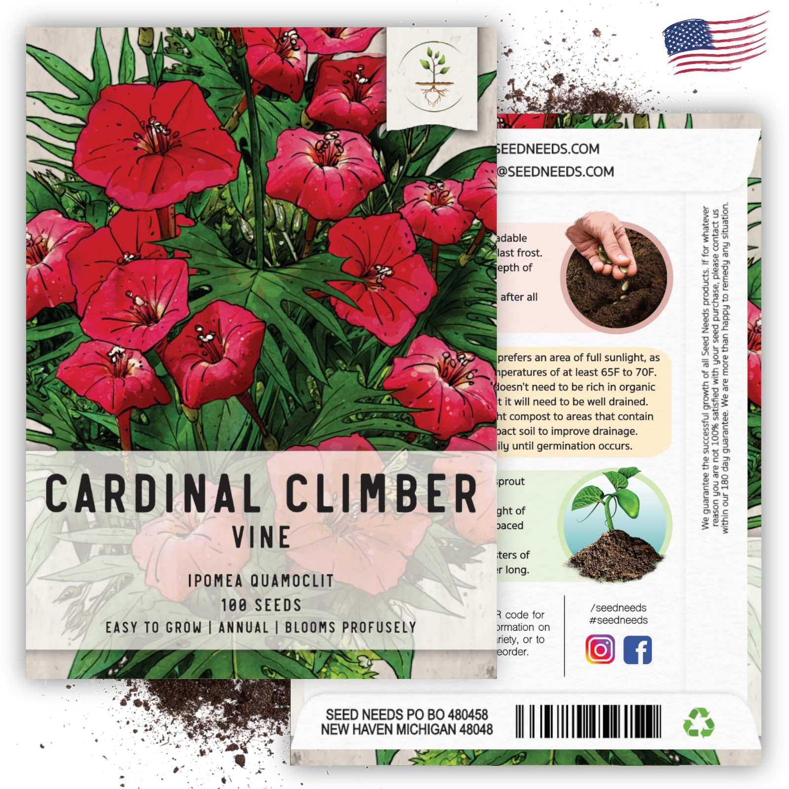 Cardinal Climber Seeds 100 Heirloom Ipomea Quamoclit Seeds for Planting