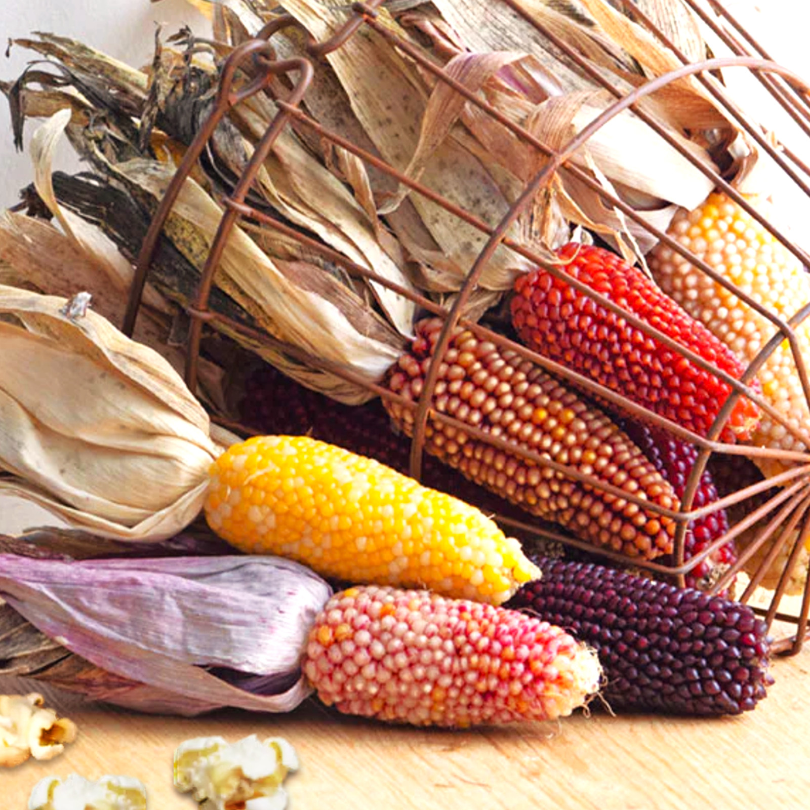Rainbow Mix Strawberry Popcorn Seeds | Mixed Colors Mini Popping Corn Seed 2025