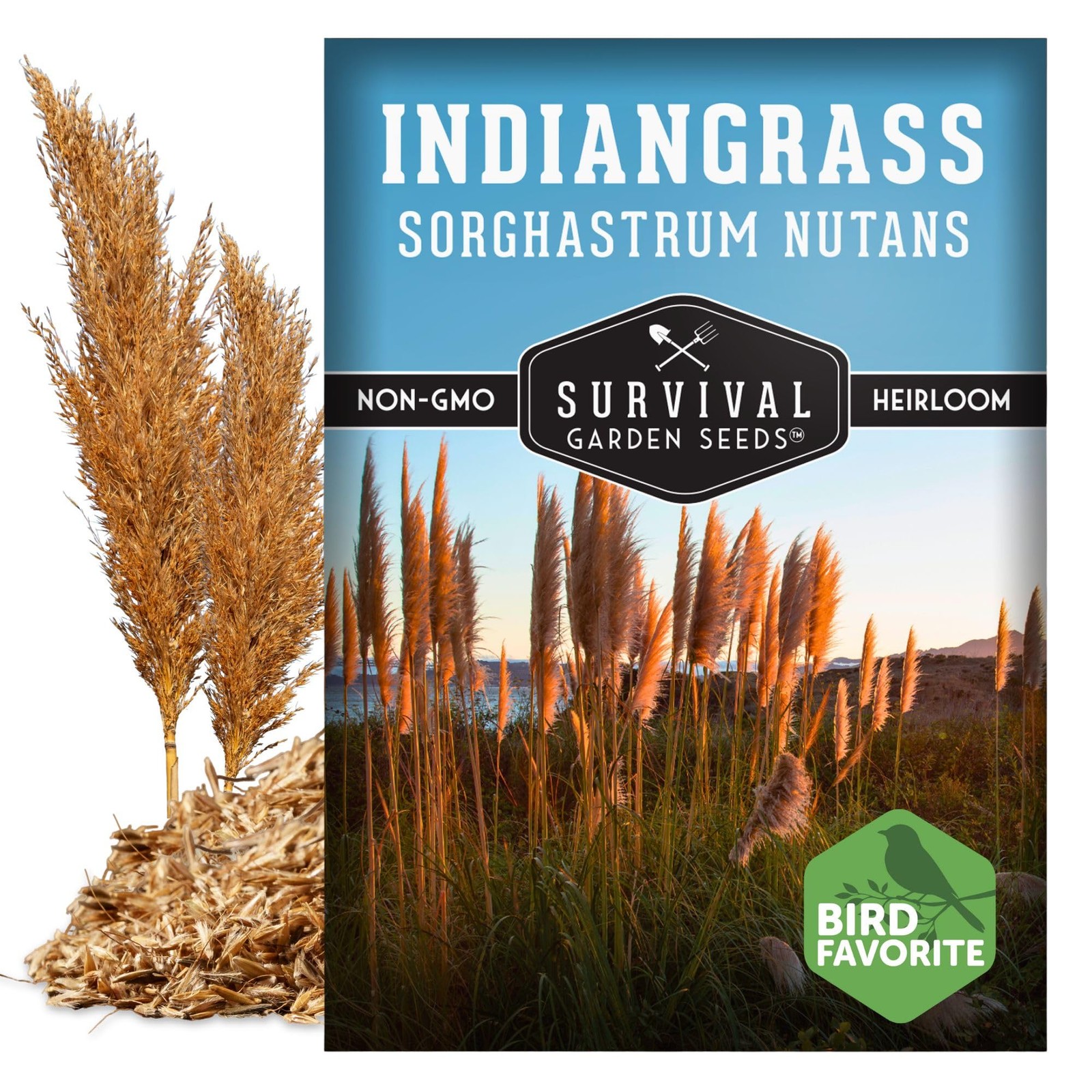 – Indiangrass Seeds for Planting (Sorghastrum nutans) | Golden Prairie Plant …