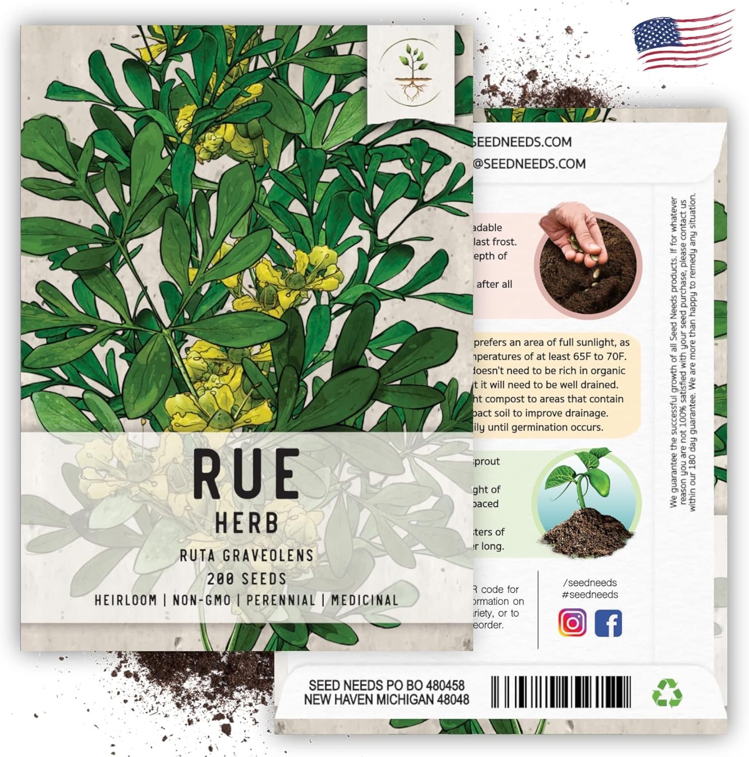 200 Count Non-GMO Heirloom Rue Seeds – Perfect for Home Medicinal Gardens
