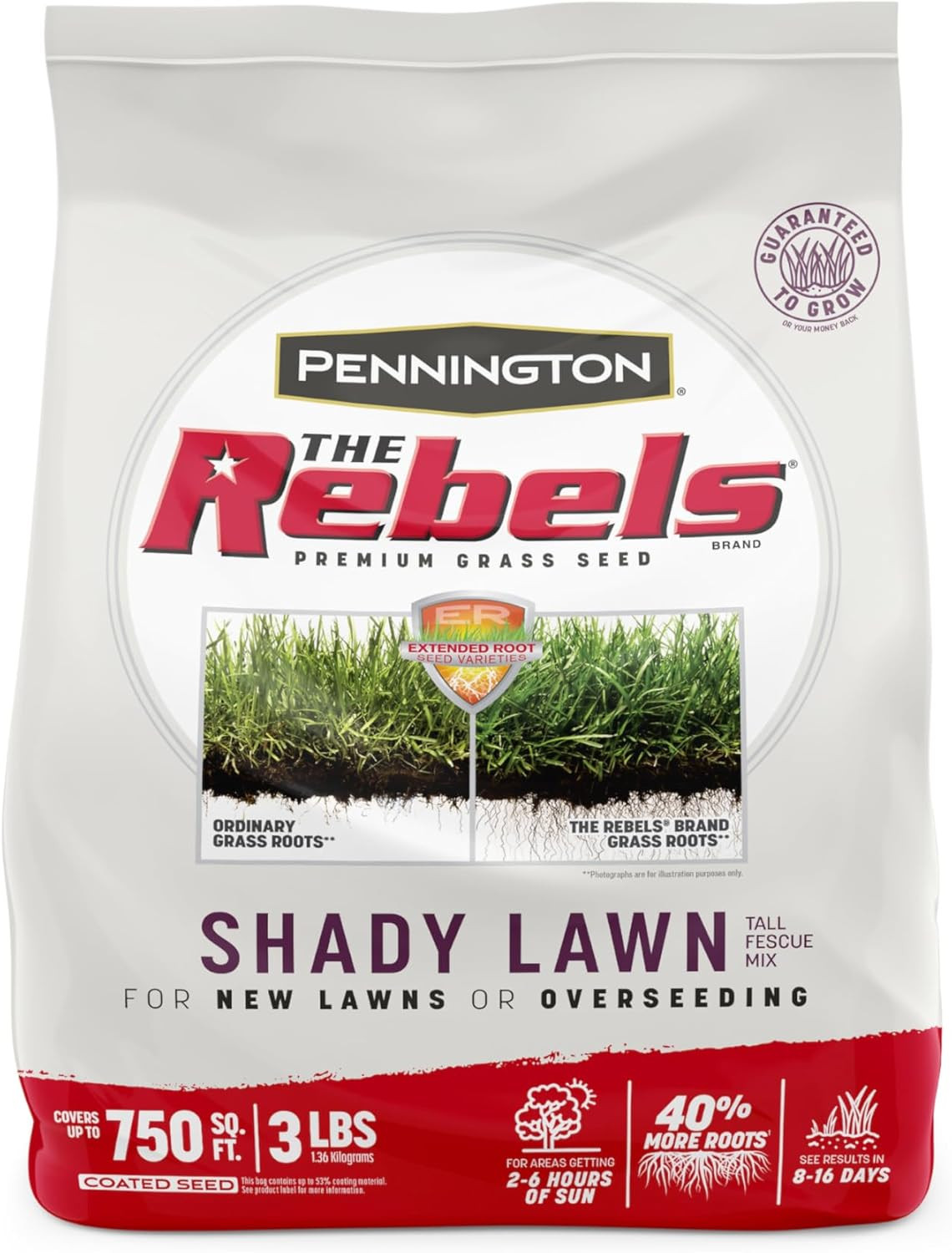 Pennington the Rebels Tall Fescue Shady Grass Seed Mix 3 Lb