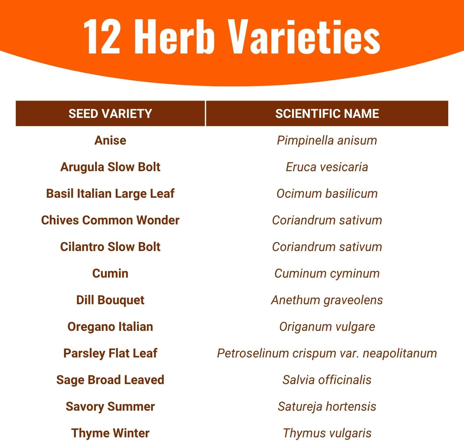 | 4,000 Heirloom Seeds | 12 Variety Pack of Herb Seeds | 2026 Season | Non GMO V