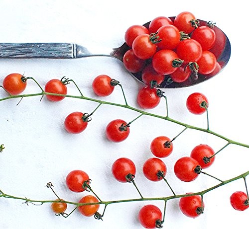 20+ Worlds Smallest Spoon Currant Tomato Seeds, Early, Heirloom Non-GMO, Rare…