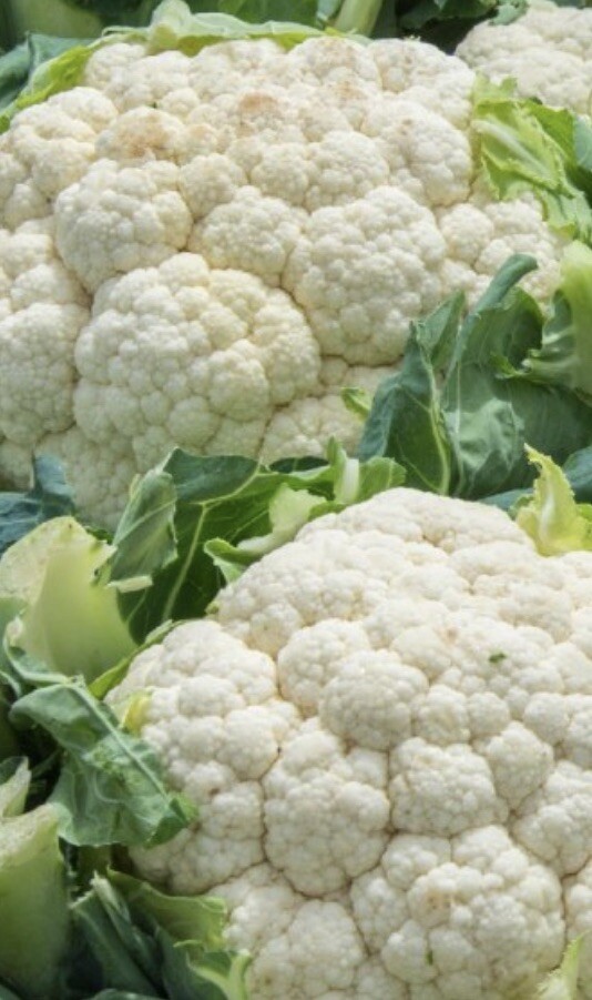 1000+ Cauliflower Seeds Snowball Self Blanching Cauliflower (1,000 Seeds)