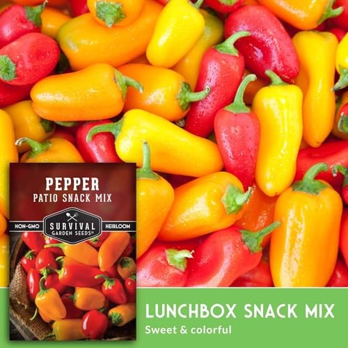 Patio Snack Mix Mini Sweet Pepper Seeds for Planting | Compact Lunchbox-Style 1