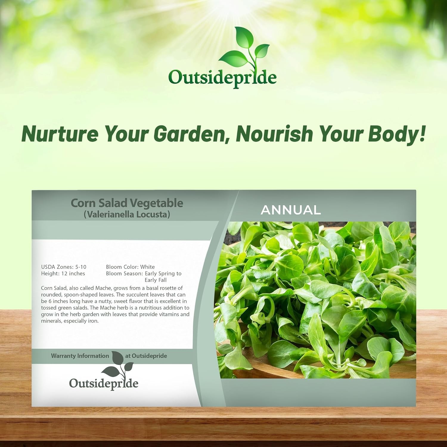 1000 Seeds Corn Salad Seeds – Mache Vegetable Seed