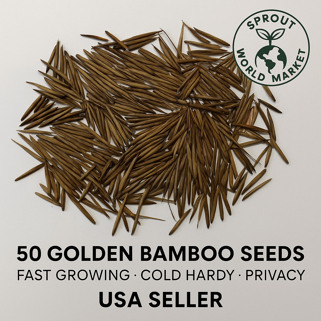 50 Golden Bamboo Seeds | Fast Growing | Cold Hardy | Privacy | USA Seller