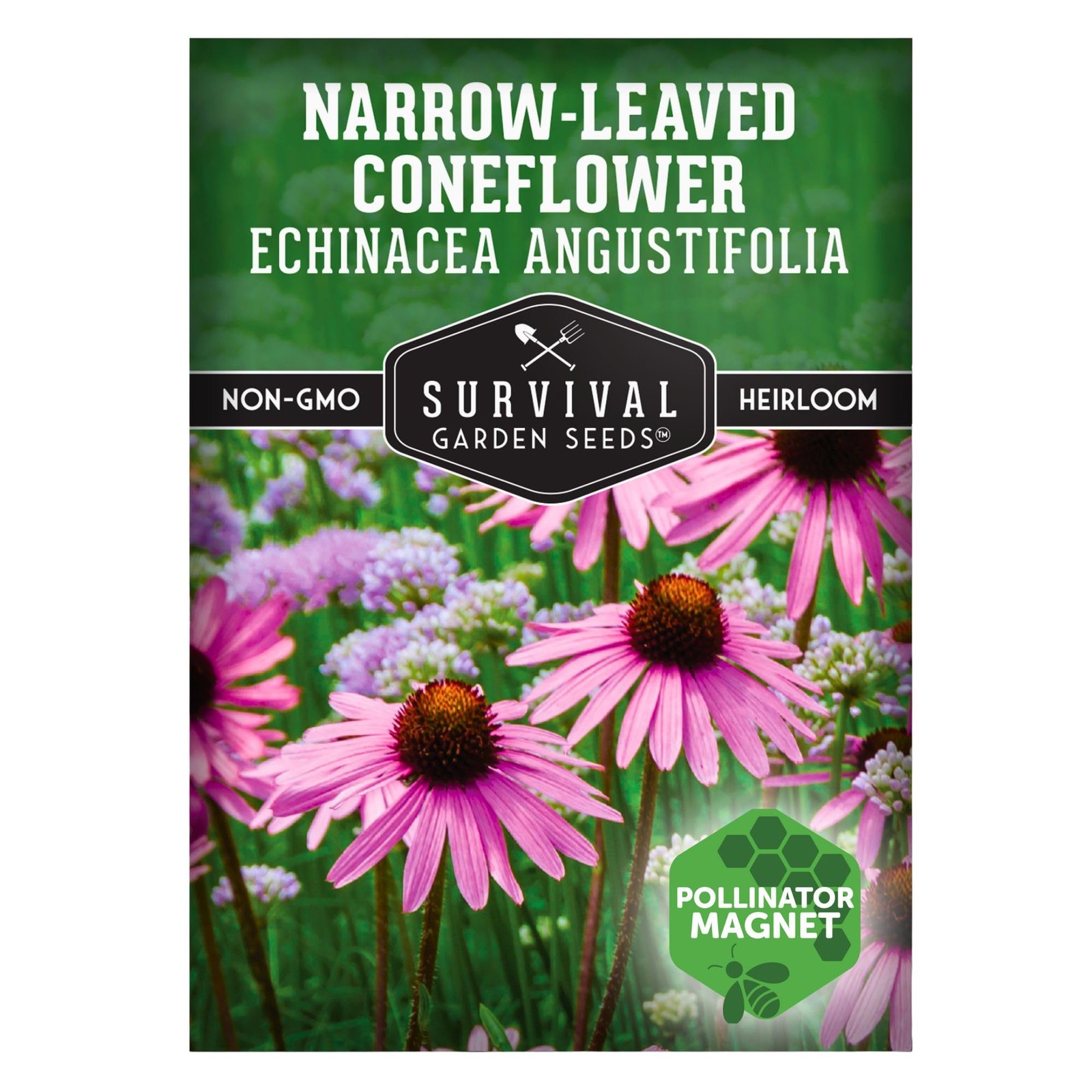 – Narrow-Leaved Coneflower Seeds for Planting | Echinacea angustifolia | Drou…