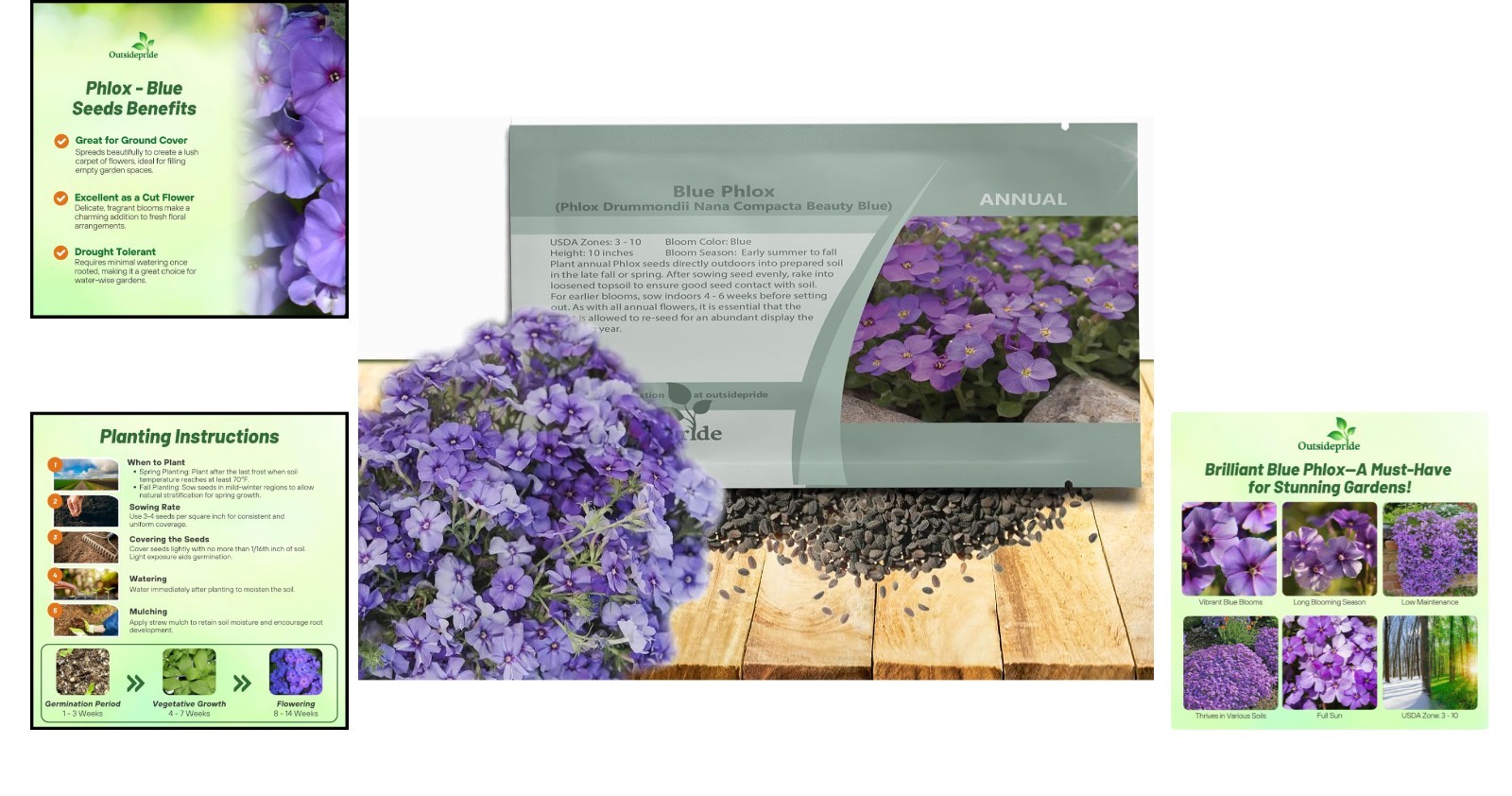 Compact Blue Phlox Flower Seeds – 1000 Pcs for Bright Blooms from Summer to Fall