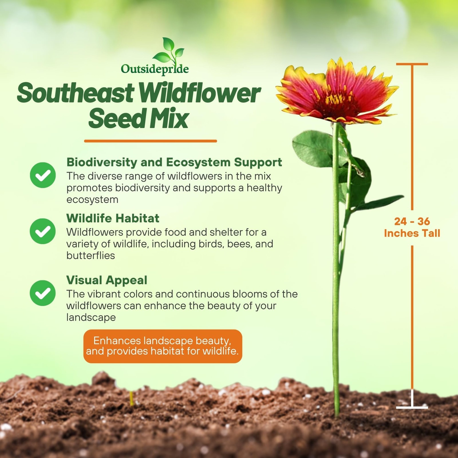 Southeast Wildflower Seed Mix – 1 lb Highly Adaptable, Easy to Grow, Low-Main…