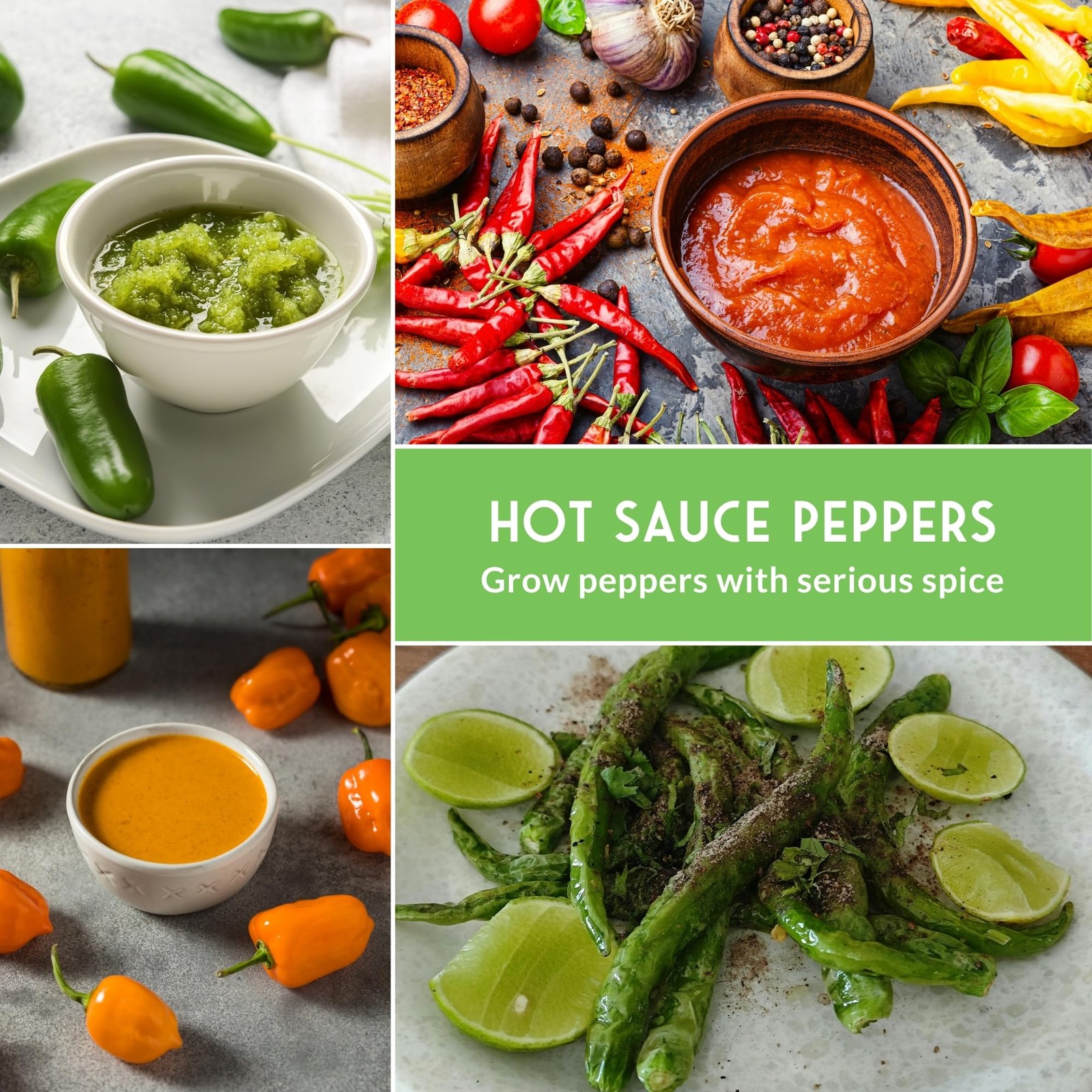 Hot Pepper Seeds Variety Pack for Planting | 4 Varieties: Jalapeno, Serrano, …