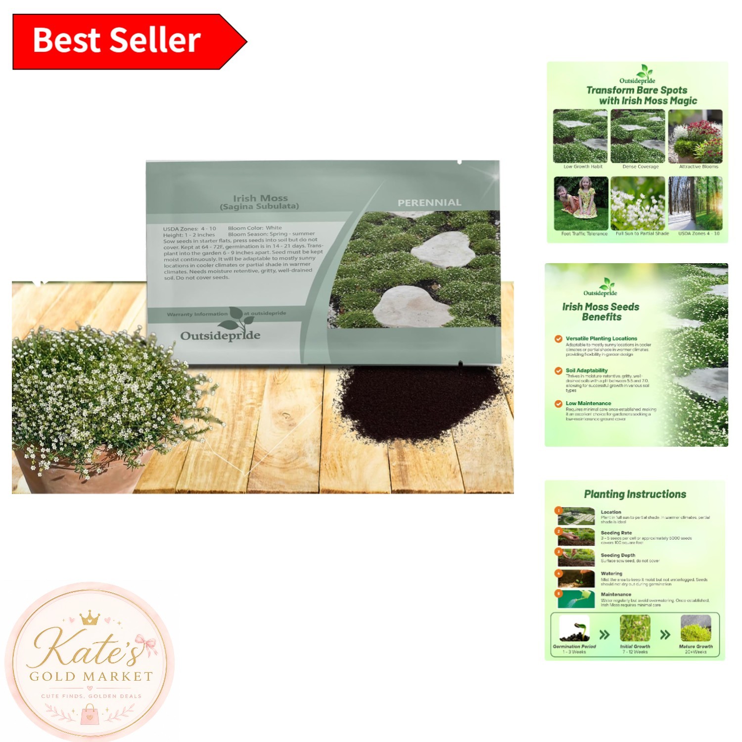 5000 Pcs Irish Moss Ground Cover Seeds – Ideal for Lawns & Rock Gardens