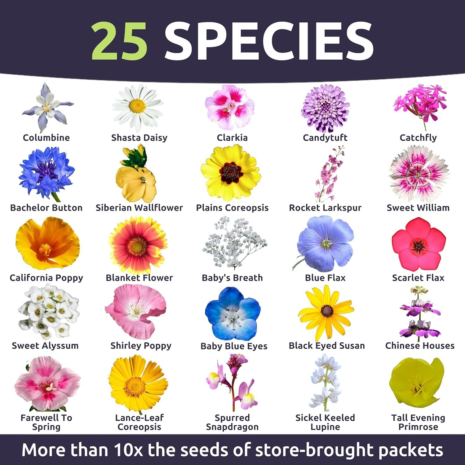 Transform Your Garden with 24,000 Pacific Northwest Wildflower Seeds – 1 Oz