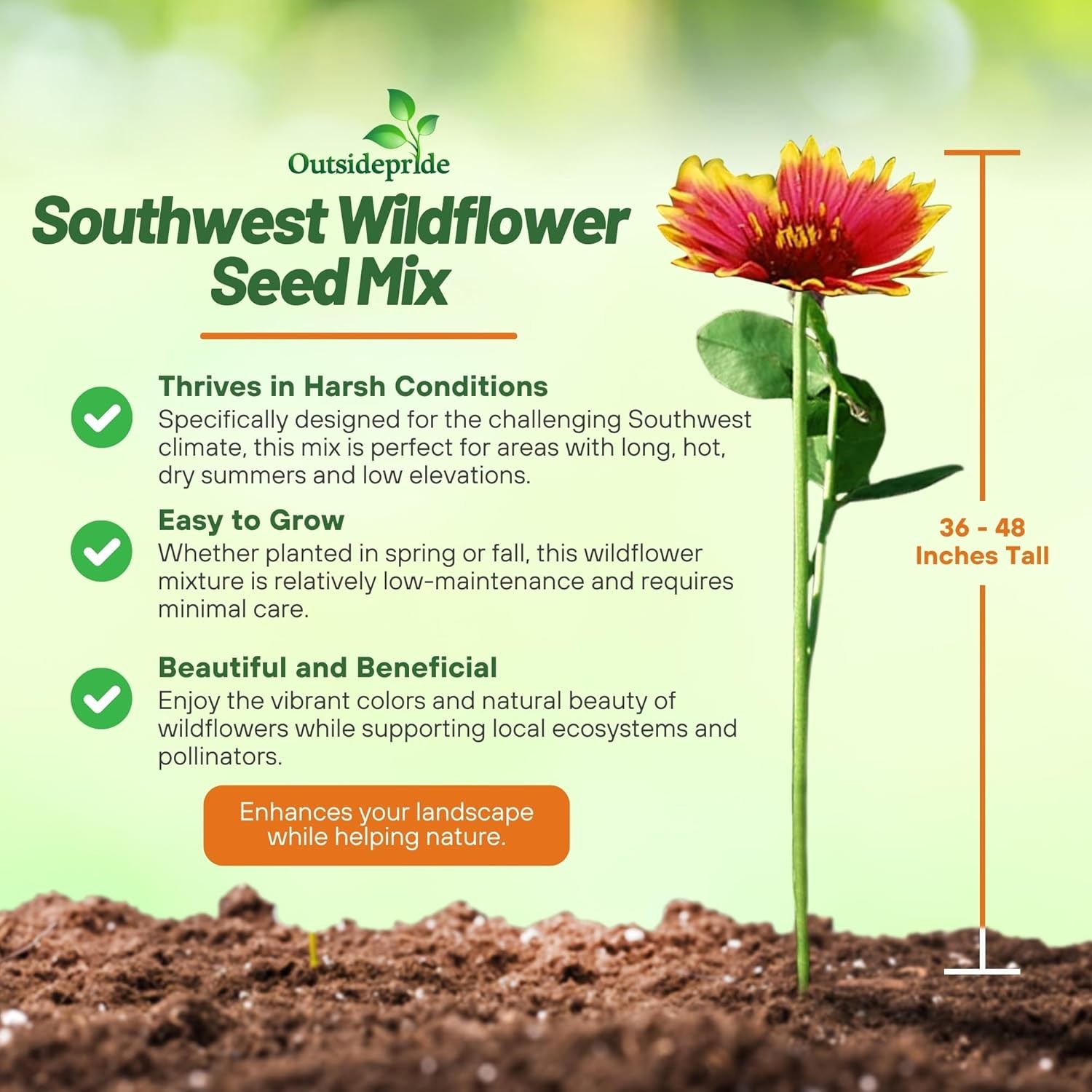 1 LB California wild flower seed from Outsidepride.