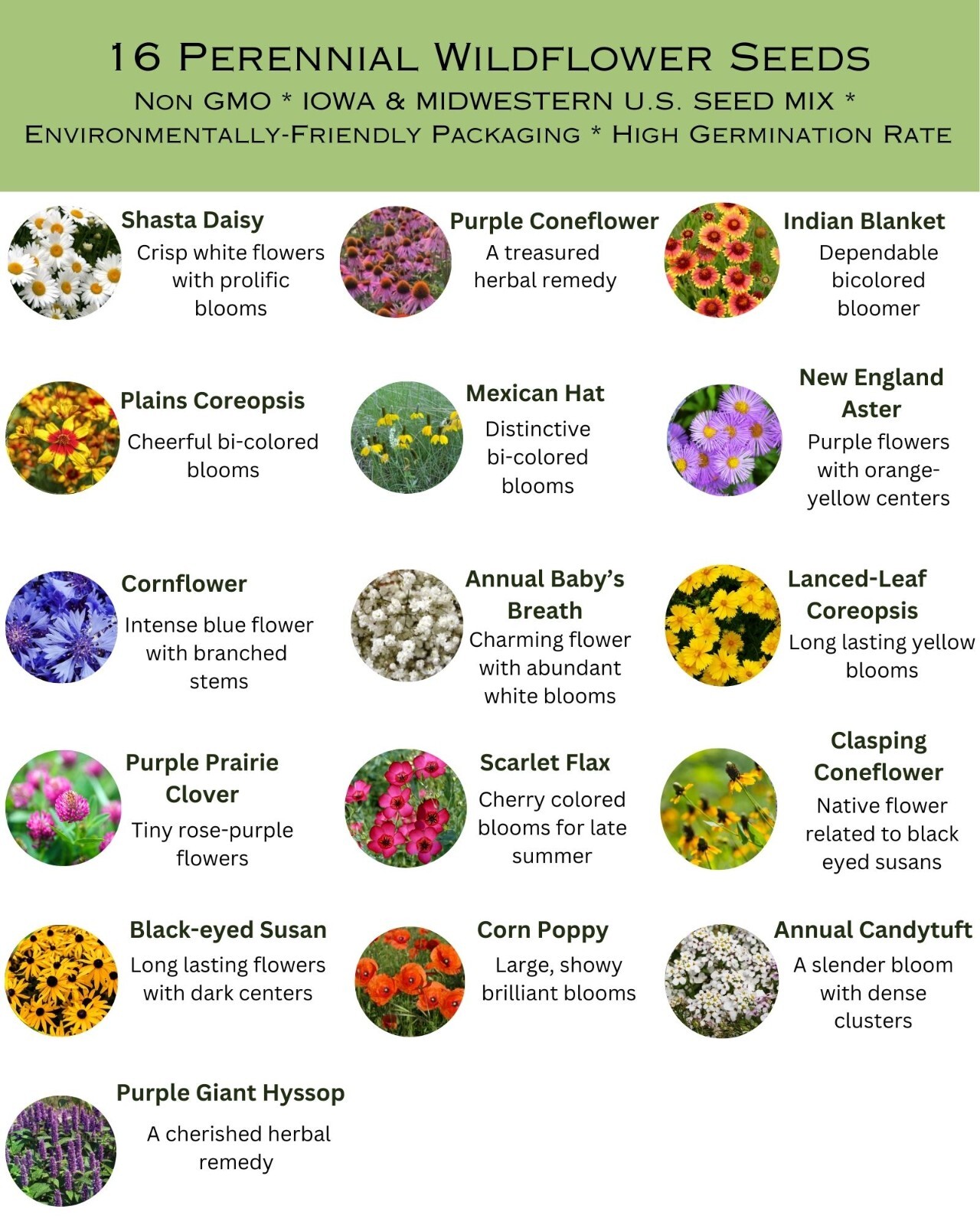1 Pound Iowa Bulk Wildflower Seed Mix 1lb Covers 2,000sq-ft