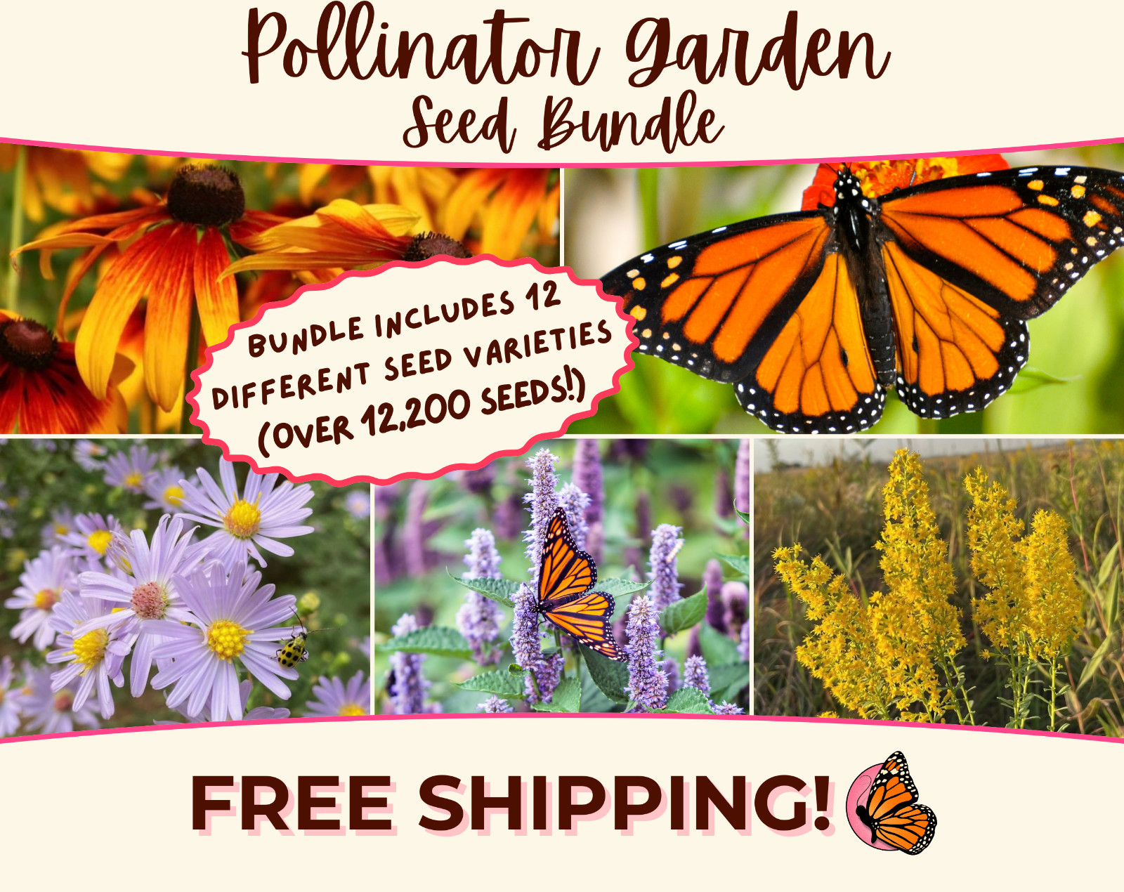 POLLINATOR GARDEN SEED BUNDLE | 12 Unique Seed Packets for Wildflower Gardening