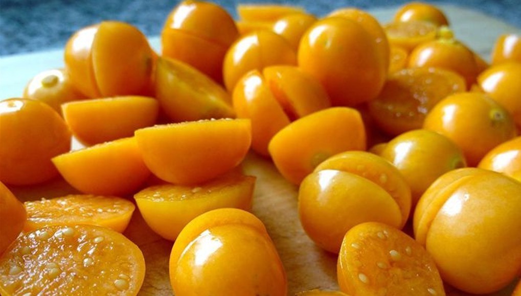 Physalis Peruviana 50 Seeds, Edible Cape Gooseberry Shrub Goldenberry Fruit
