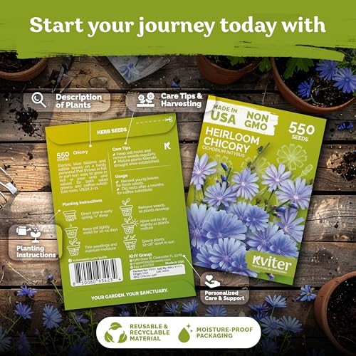 550 Chicory Seeds for Planting (Cichorium intybus) – Blue Chicory Seed