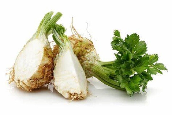 Giant Prague Celeriac Seeds