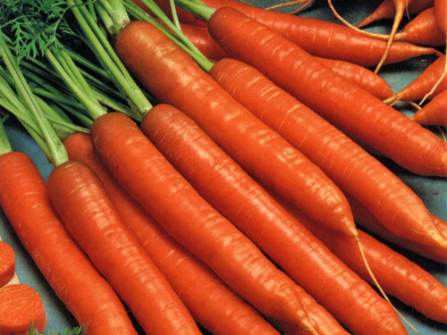 Tomato sauce kit 8 delicious varieties GROW YOUR OWN SAUCE non-gmo HEIRLOOM SEED
