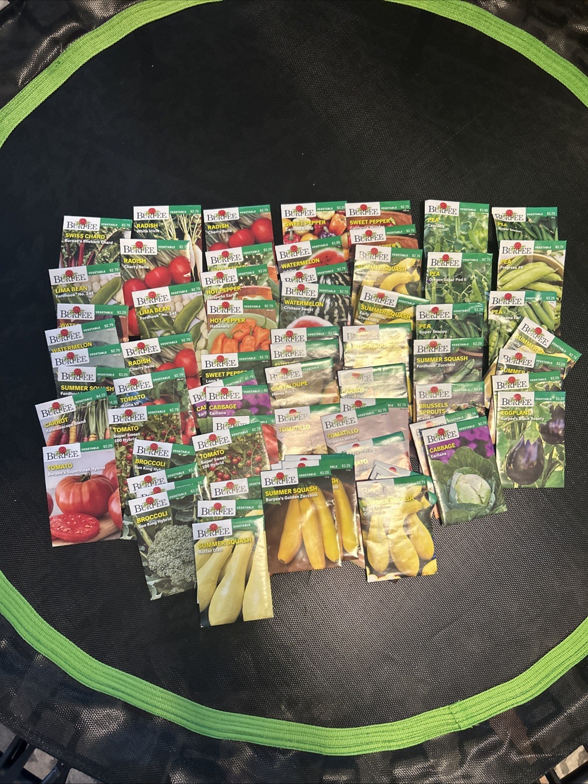Burpee Garden Seeds 70 Packs Assorted Fruit And Vegetable Seeds
