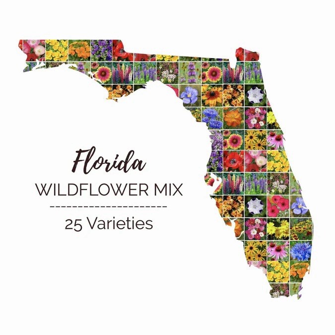 250+ Florida Wildflower Seed Mix- Perennials Annuals Non-GMO USA FAST FREE SHIP