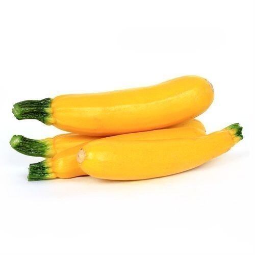 20 Fresh Golden Zucchini Premium Summer Squash Seed-A 31
