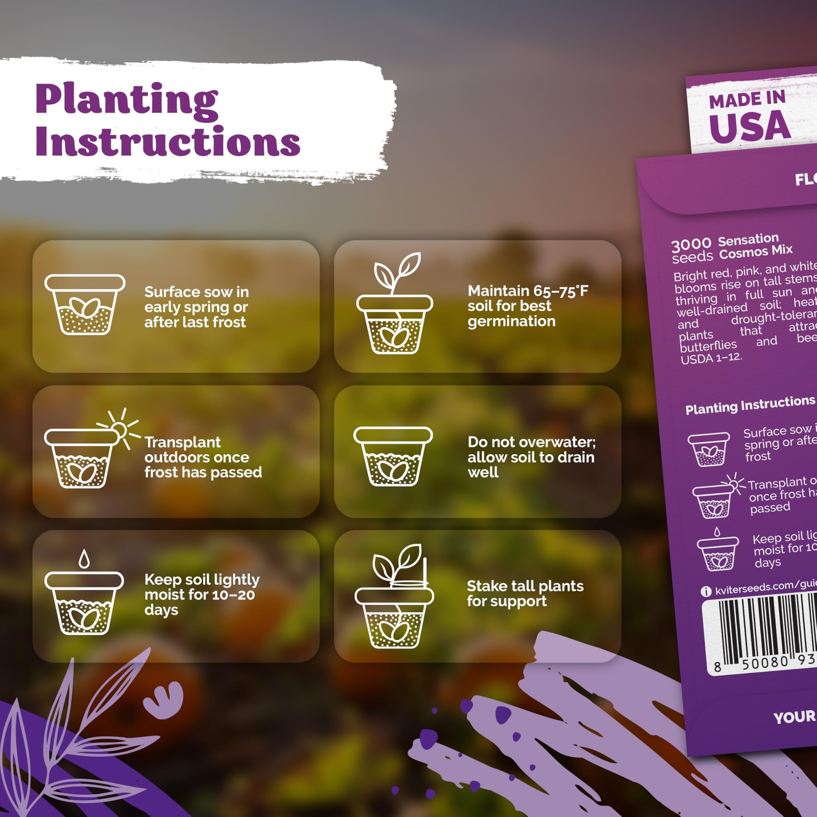 Cosmos Seeds Mix for Outdoor Garden – Non-GMO Annual Flower Seed Packets