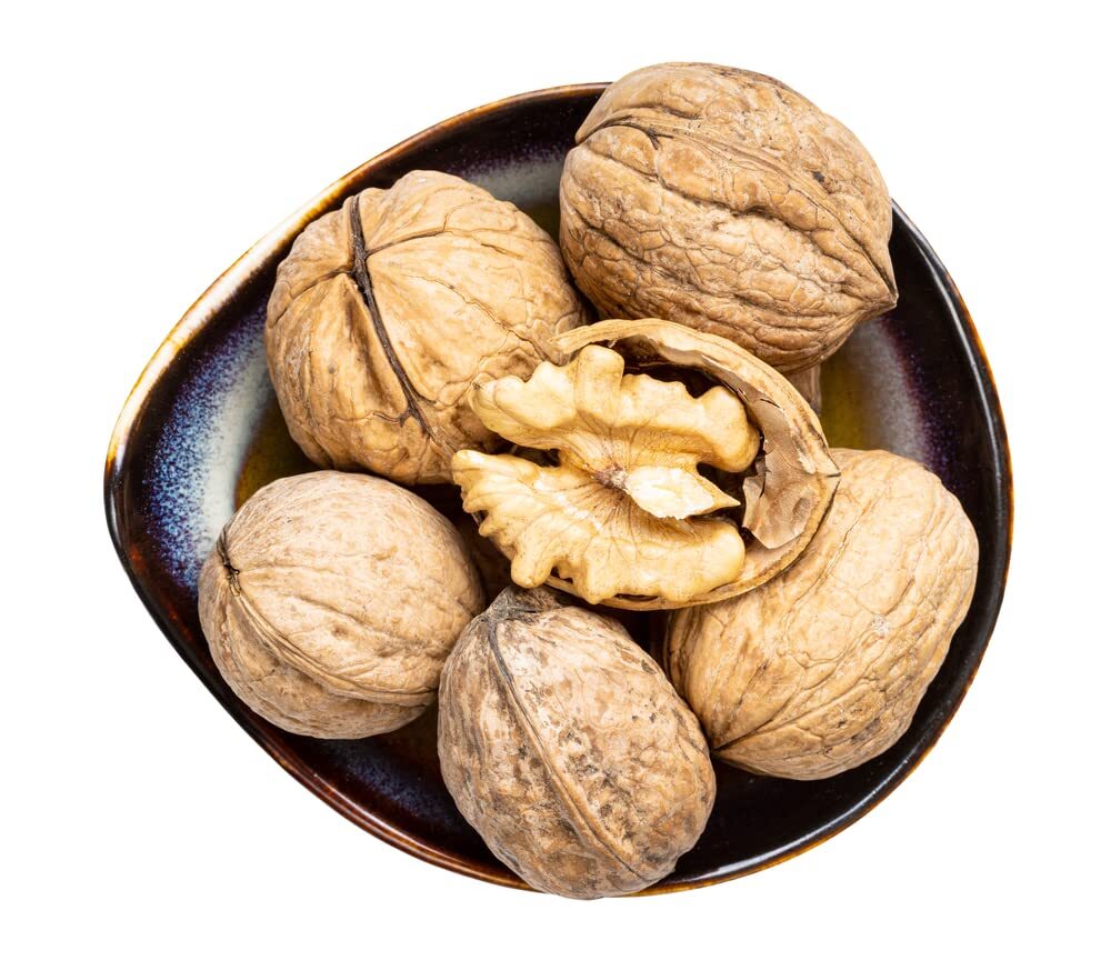 Carpathian Walnut Seeds for Planting – 5 Seeds – Juglans regia Carpathian