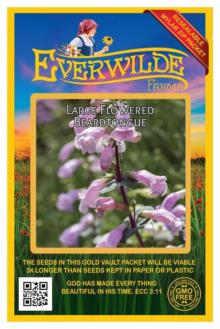 300 Large Flowered Beardtongue Wildflower Seeds – Everwilde Farms Mylar Packet