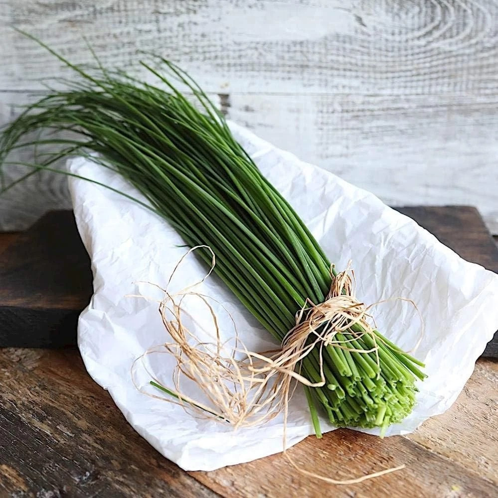1000+ CHIVES SEEDS — GREEN ONION —– MOSQUITO REPELLENT