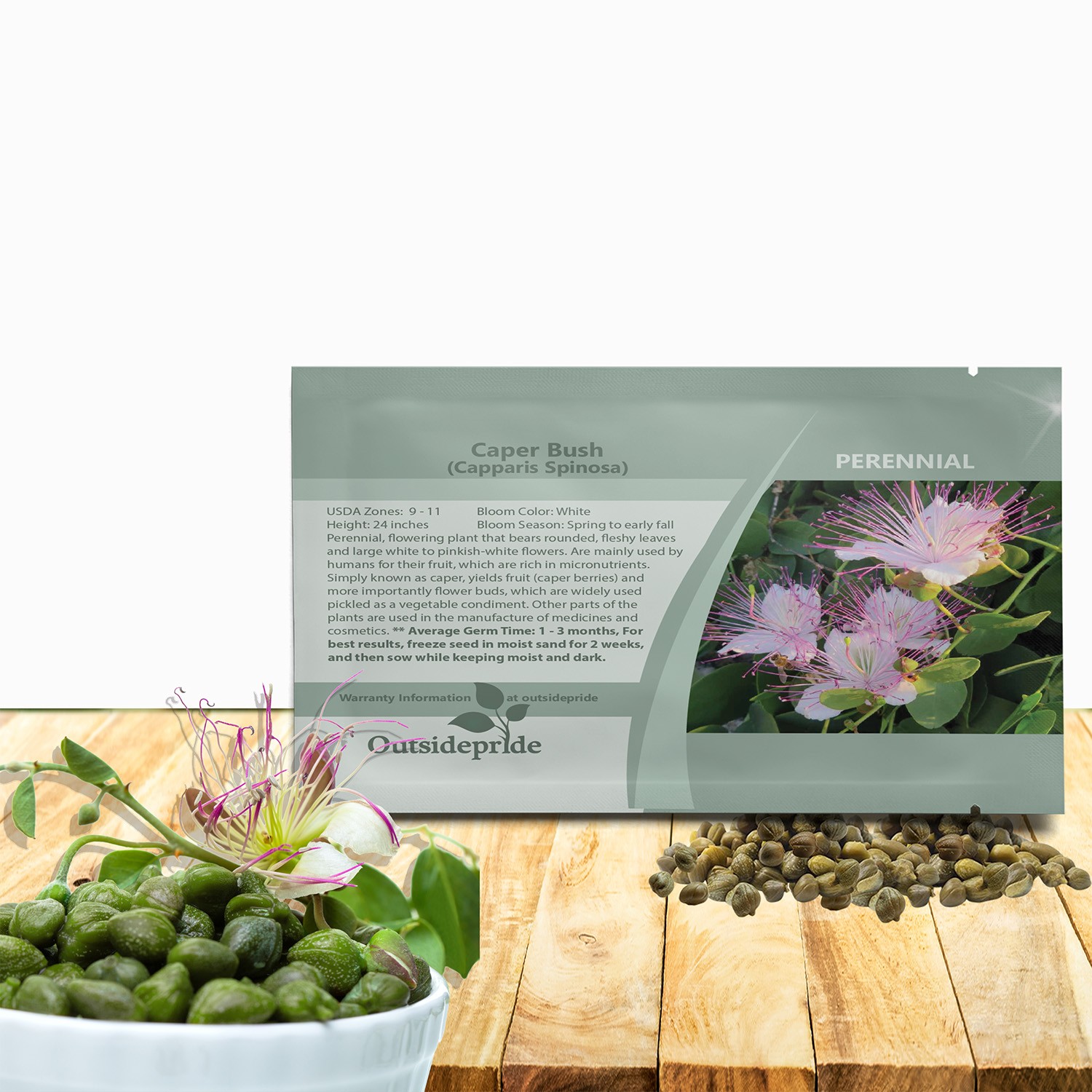 100 Seeds Capparis Spinosa Caper Bush Flower Seeds