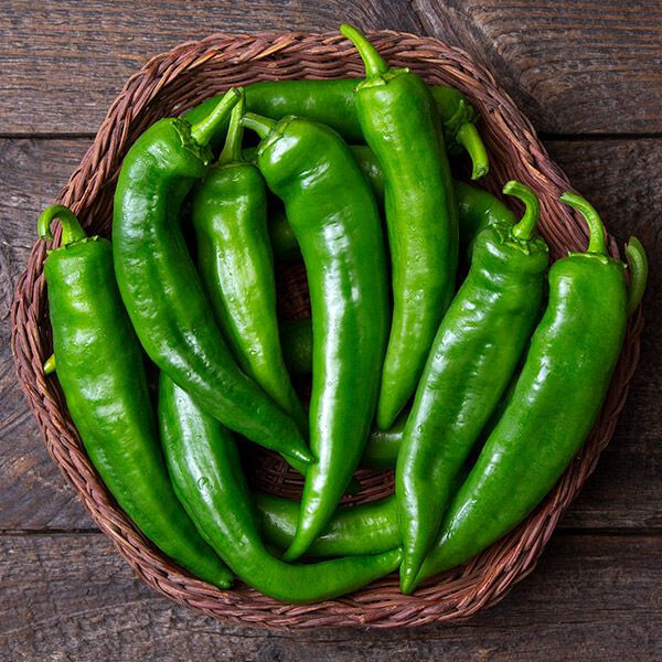 Anaheim Pepper Seeds (20) / ORGANIC / FLORIDA GROWN / MILD PEPPER