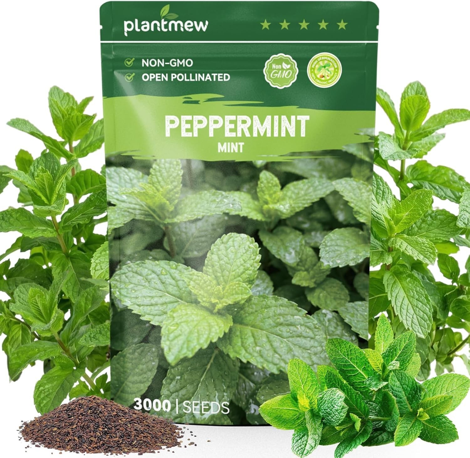 3000 Peppermint Seeds for Planting Indoors & Outdoors – Premium Non-GMO Heirloom